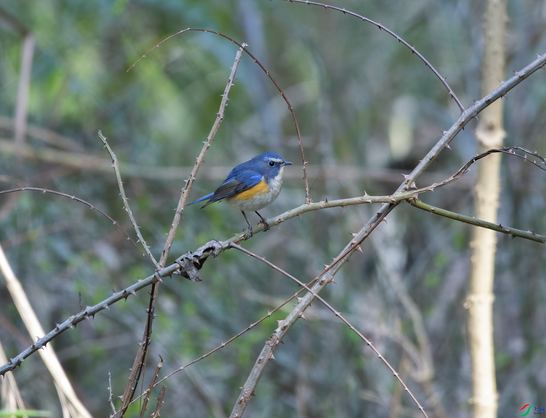 DSC_6052.jpg