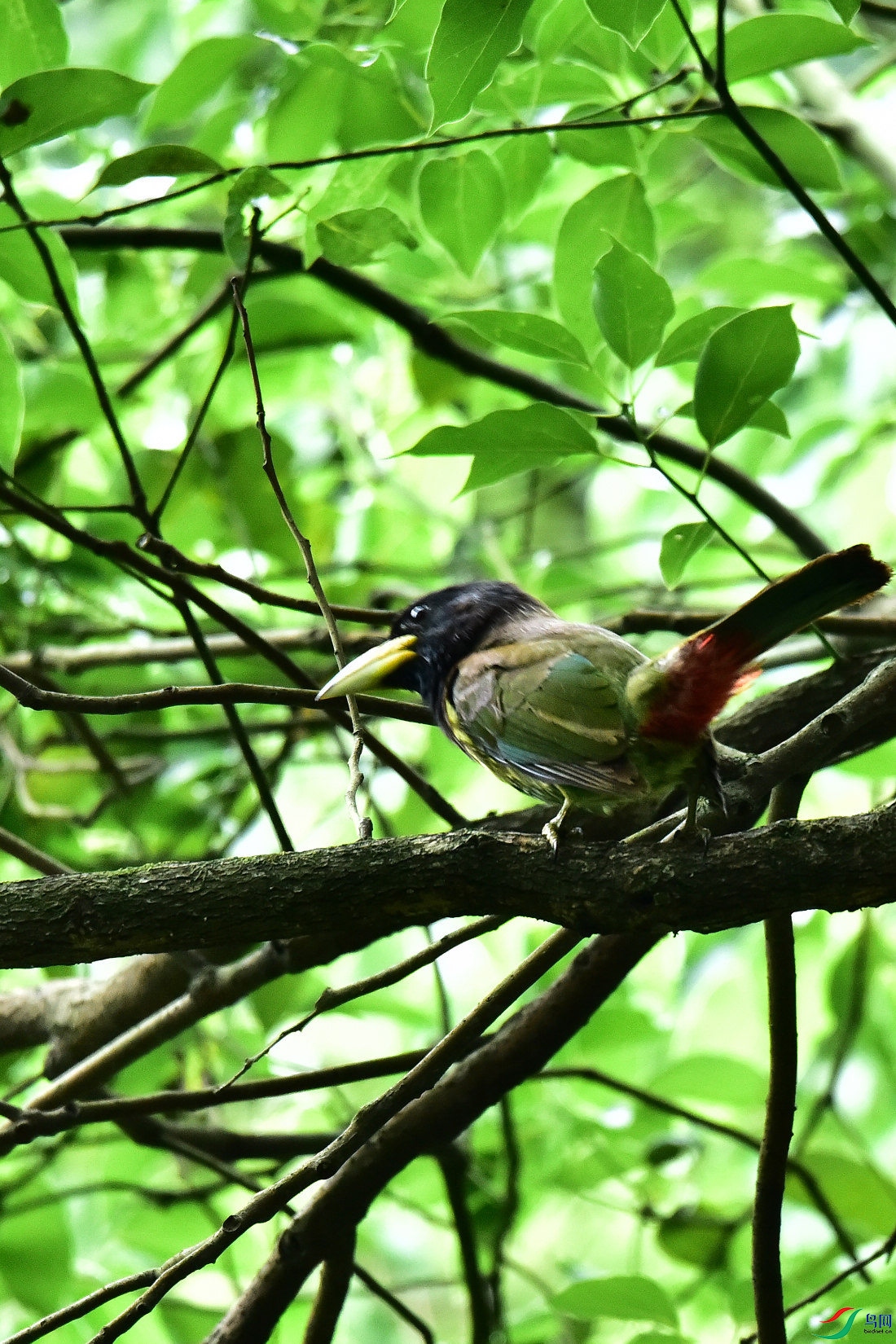 DSC_0856.JPG
