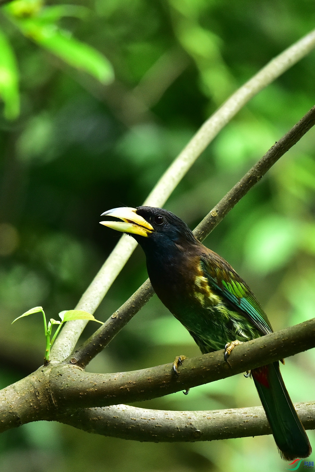 DSC_0860.JPG