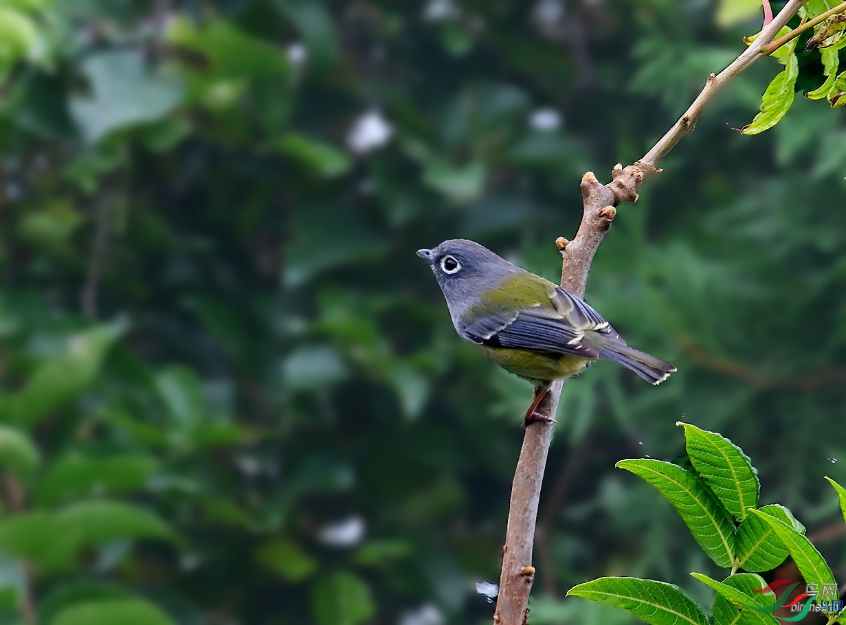 ����09 ��ʦ����������ʡ����������.jpg