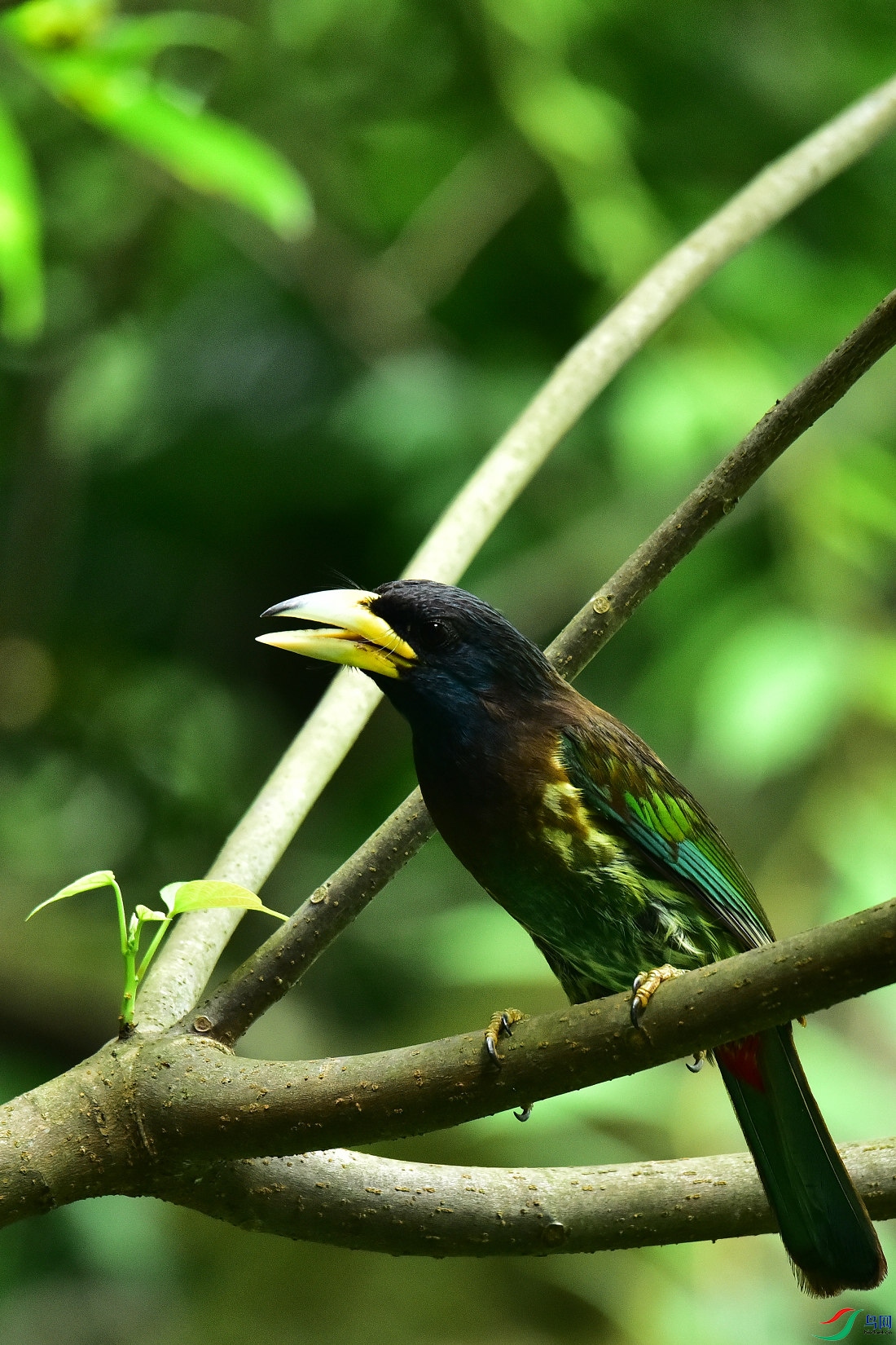 DSC_0861.JPG