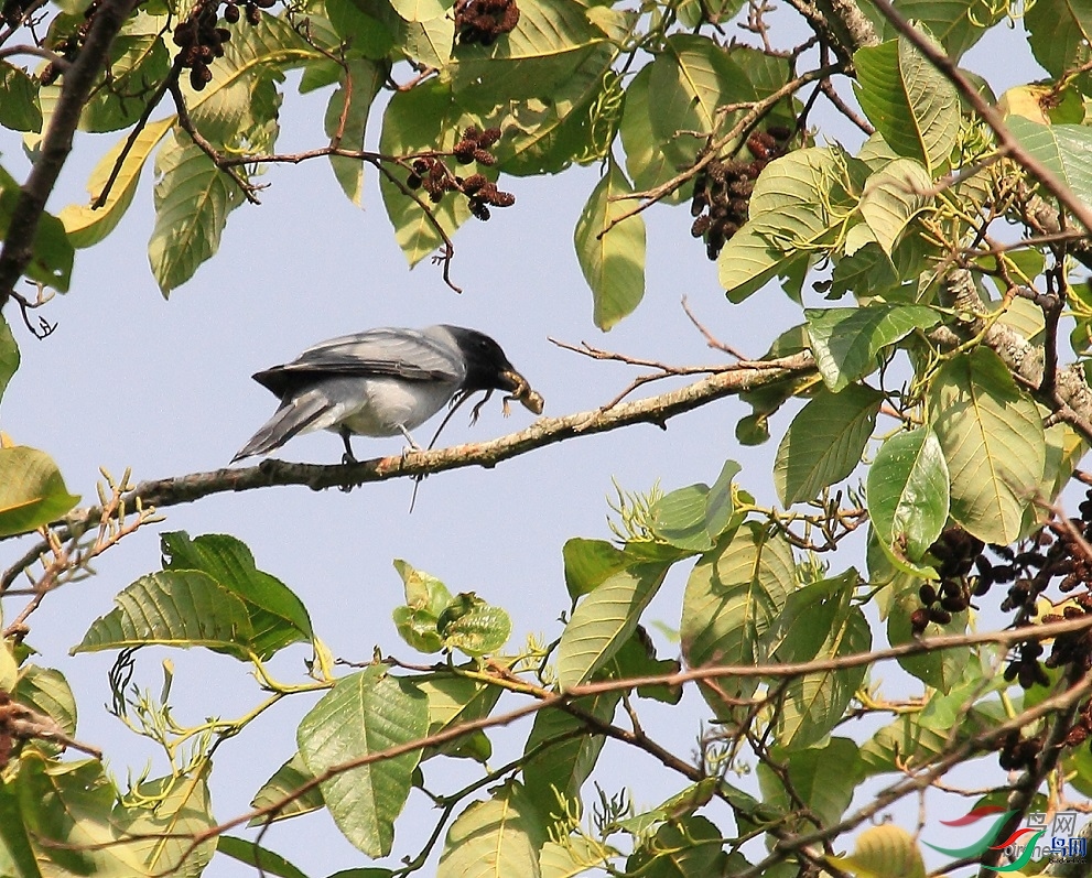 �����б� ��ʦ����������ʡ��������������.jpg