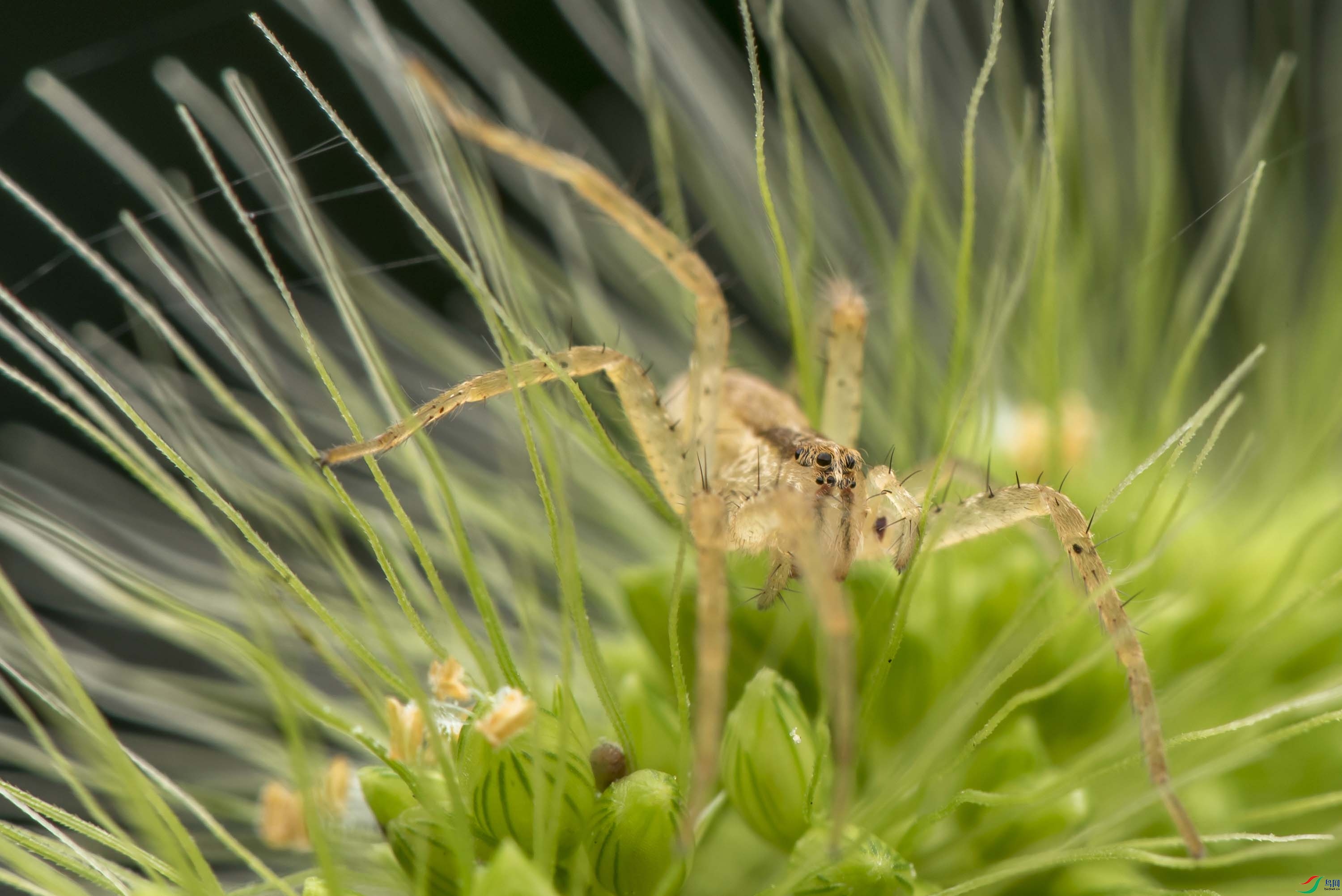 DSC_8539.jpg