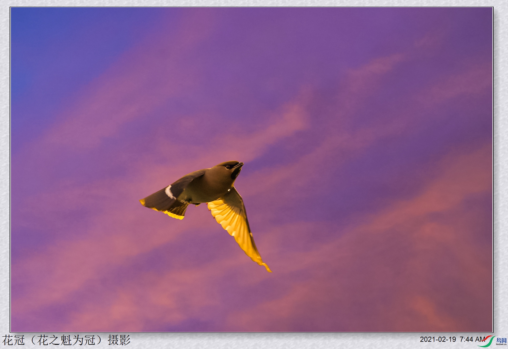 DSC07776B-2_����.jpg