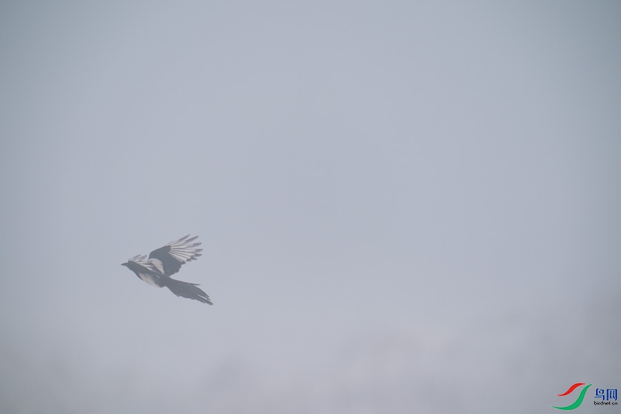DSC00727.jpg