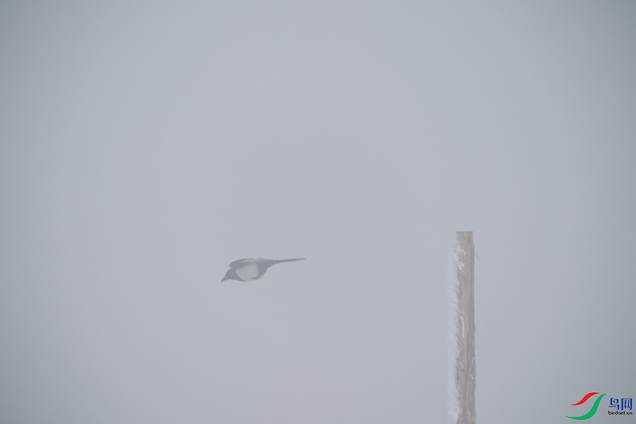 DSC00691.jpg