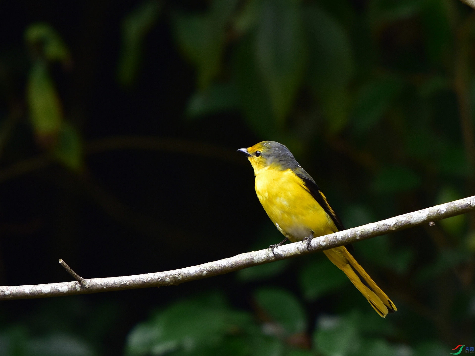 D8I_9074.jpg
