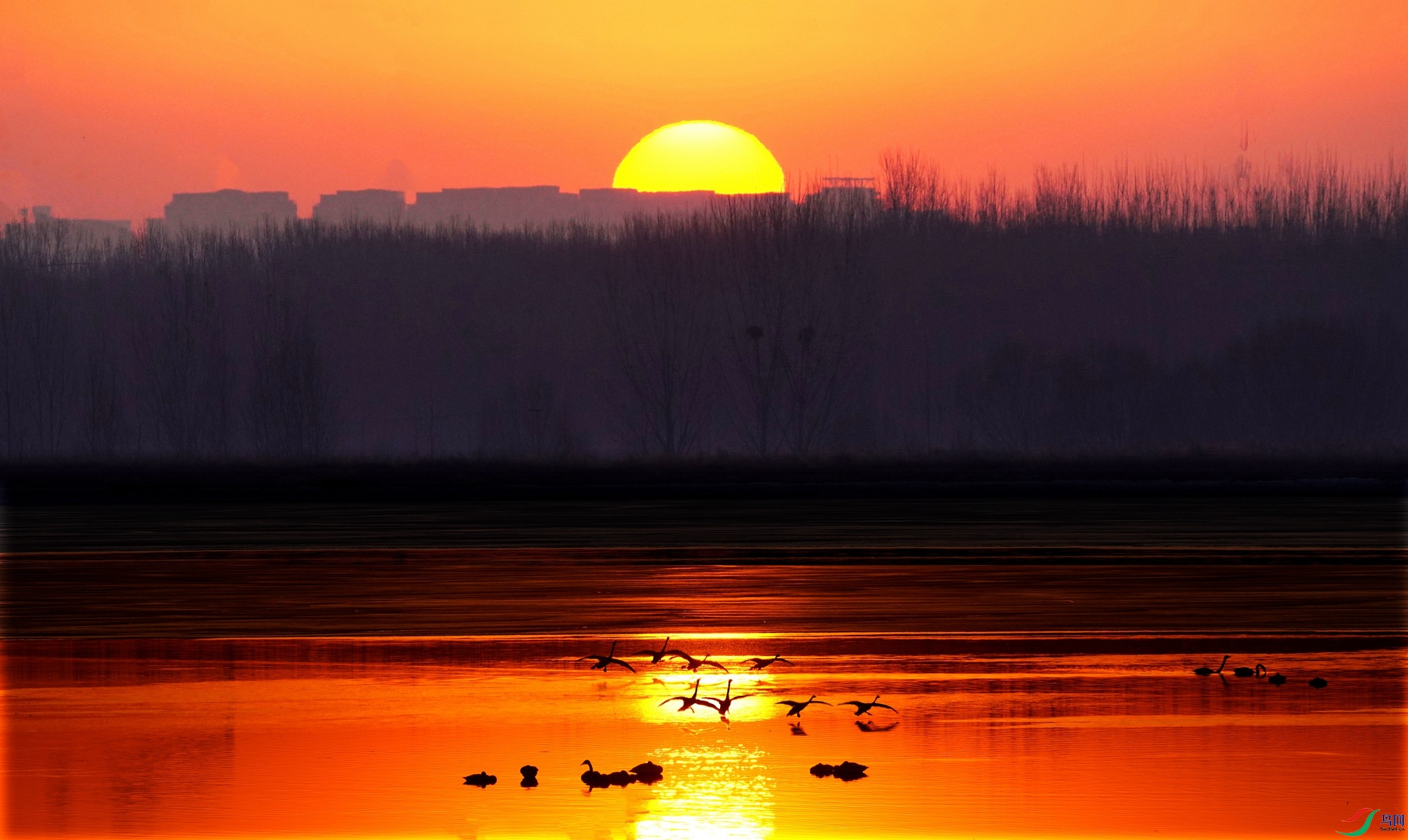 DSC00881 _����.jpg