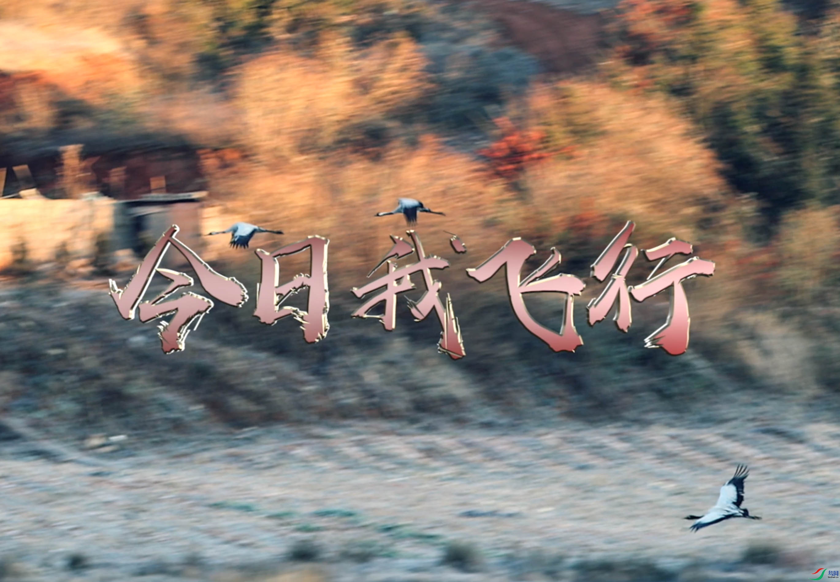 ����2021-02-19 ����9.35.26.jpg