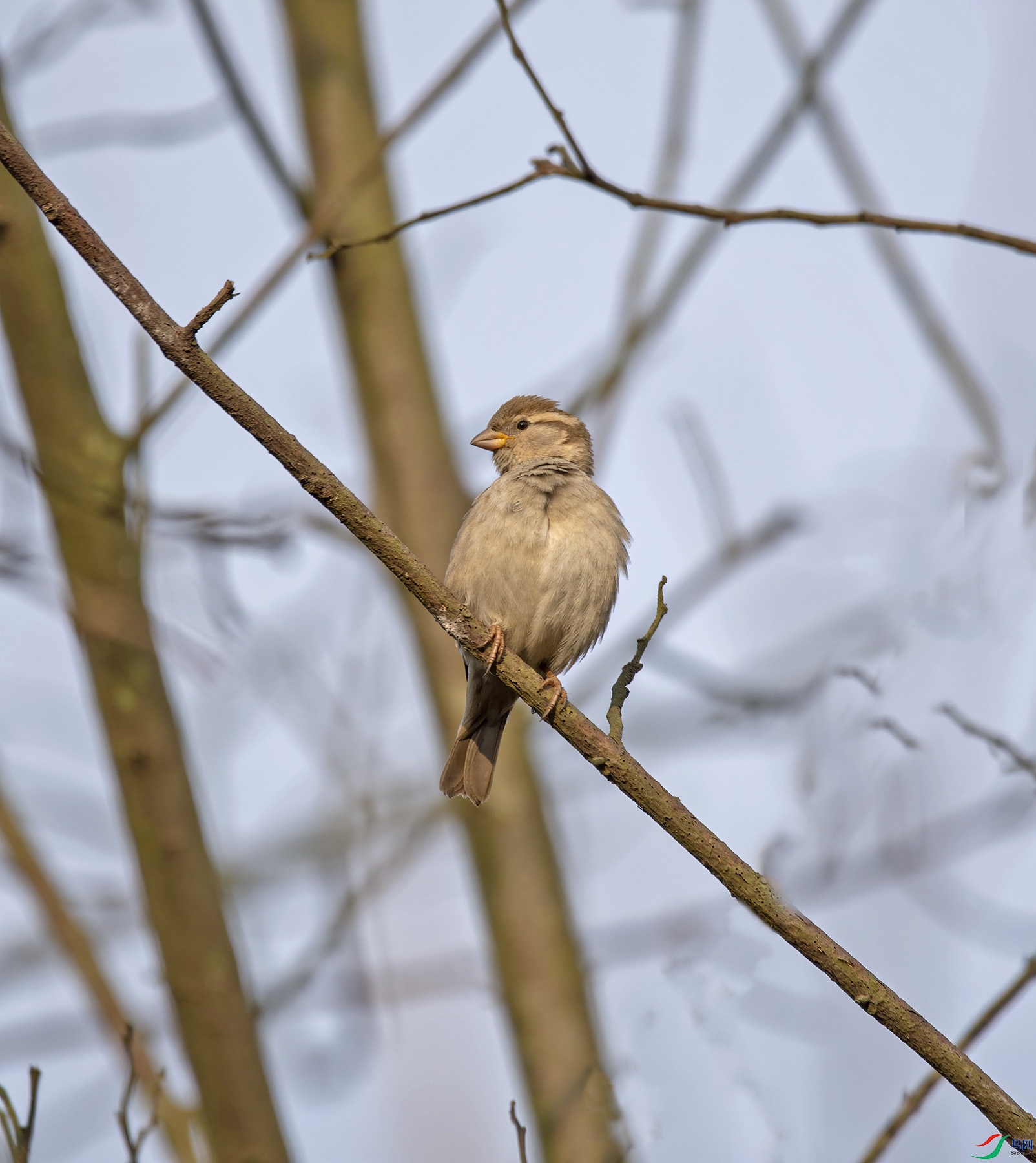 DSC_6160.jpg