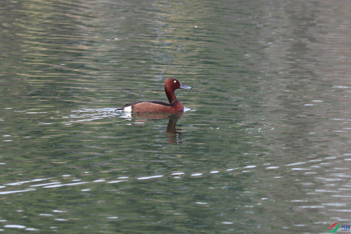 IMG_3153.JPG