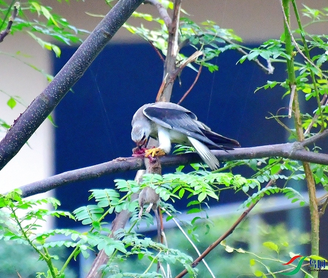 DSC_0557.JPG
