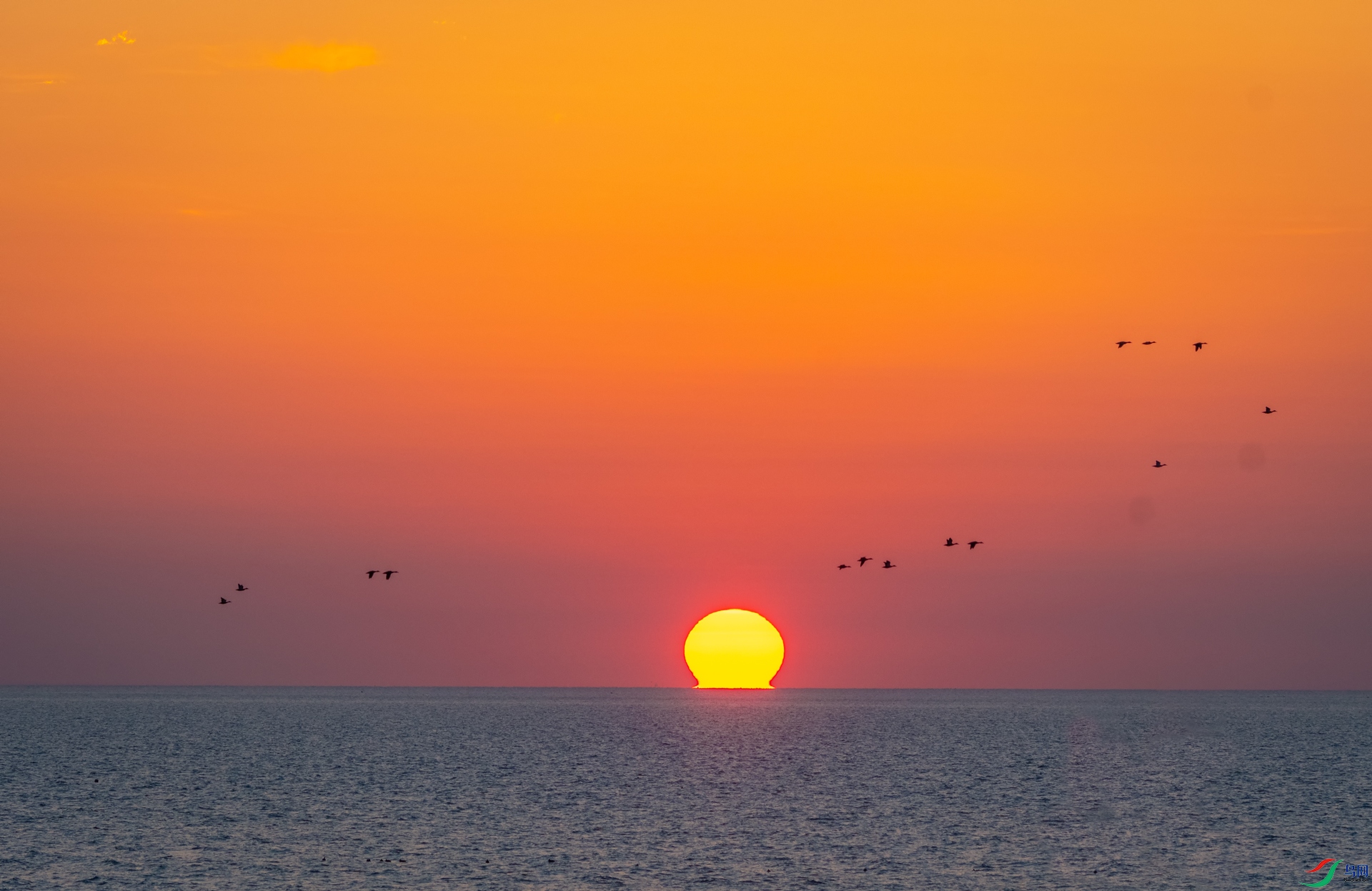 日出东方红彤彤