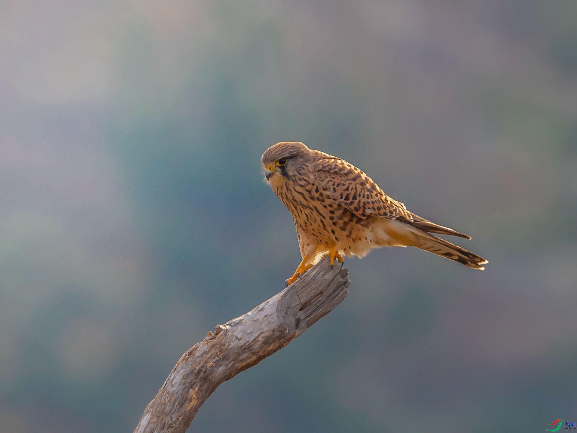 AAADSC_5092.jpg