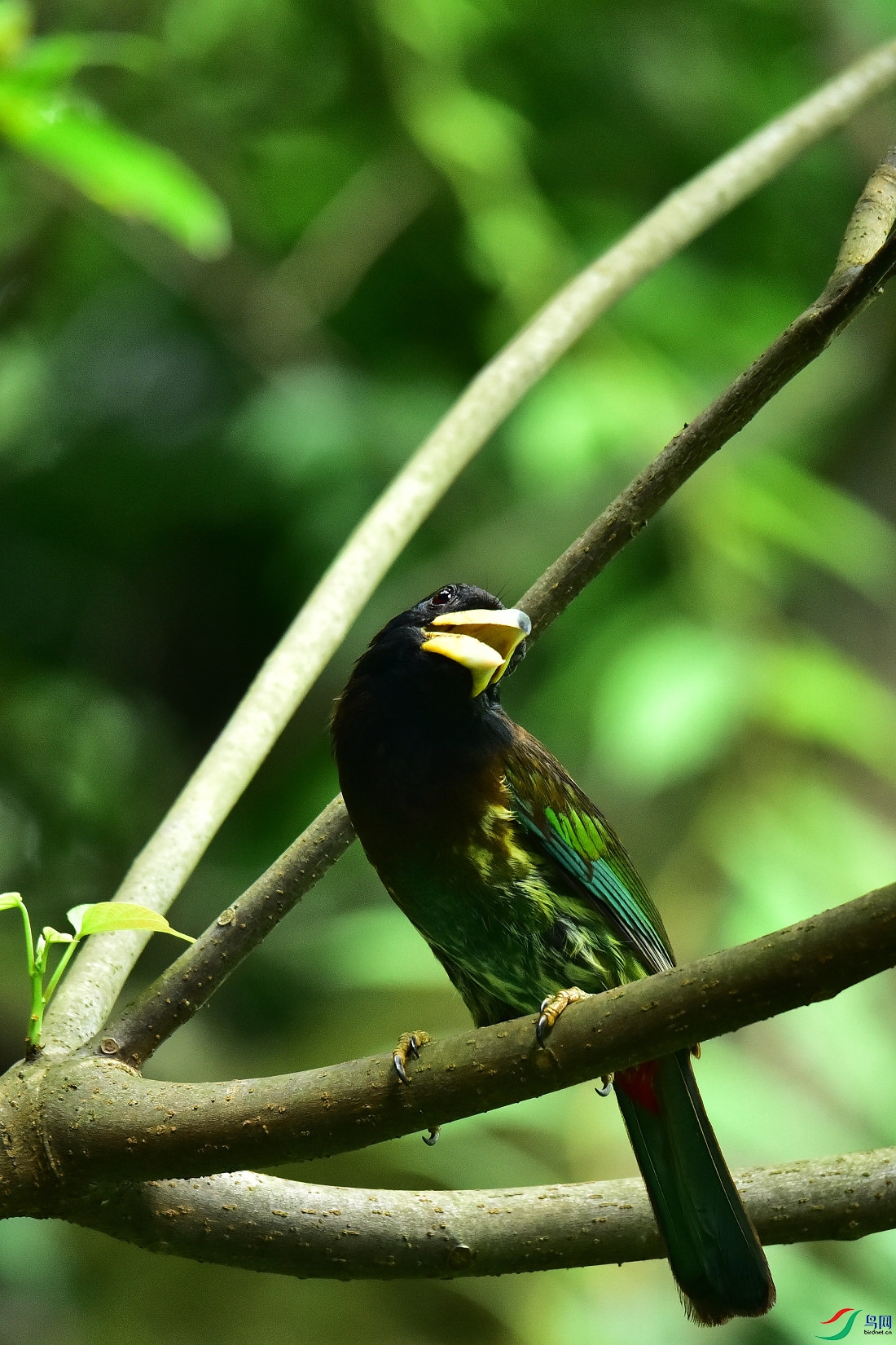 DSC_0869.JPG