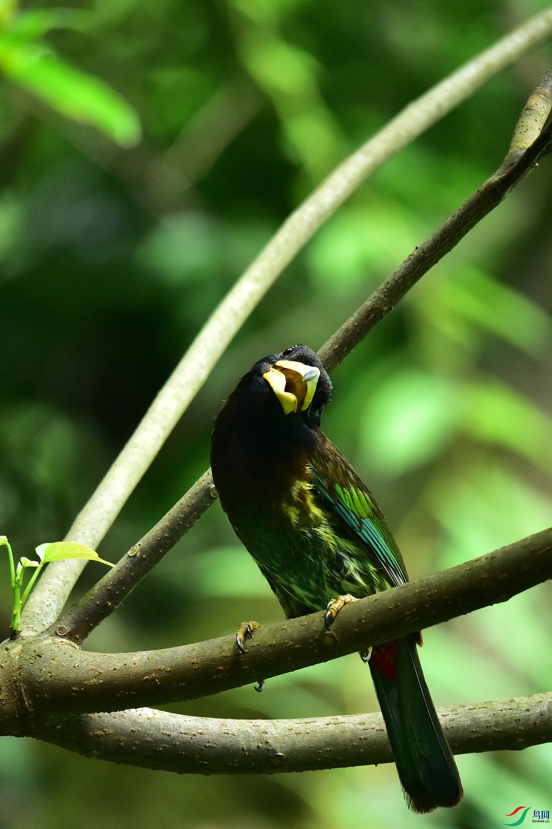 DSC_0870.JPG