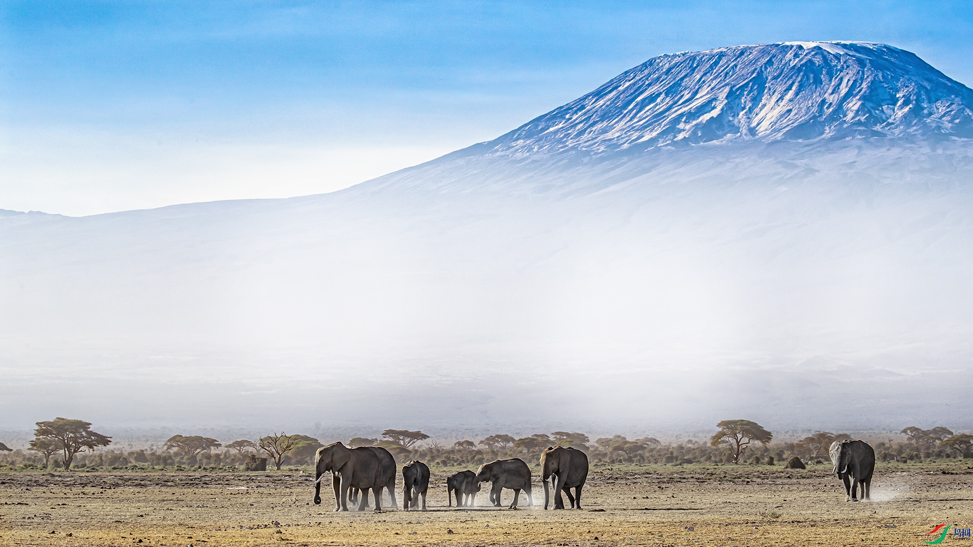 高高的乞力马扎罗山下