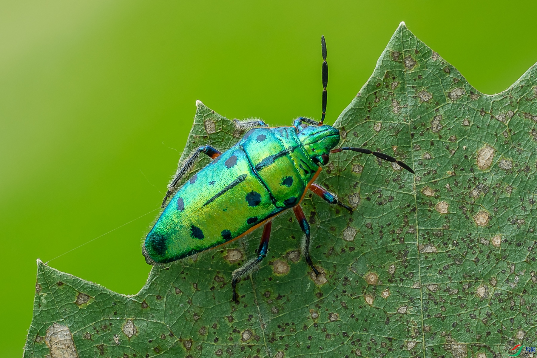 δ����-03657.jpg
