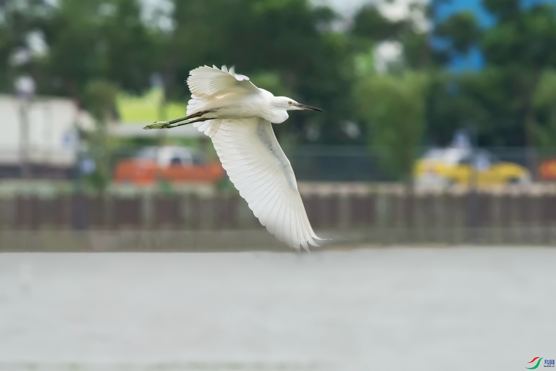 DSC_6397.jpg