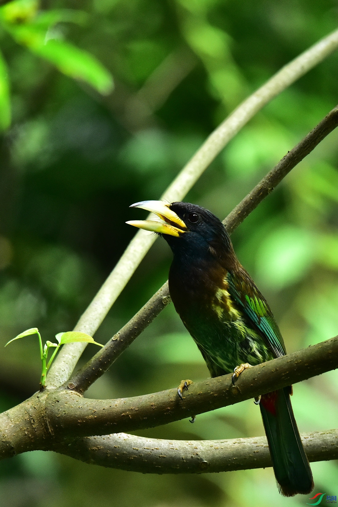 DSC_0872.JPG