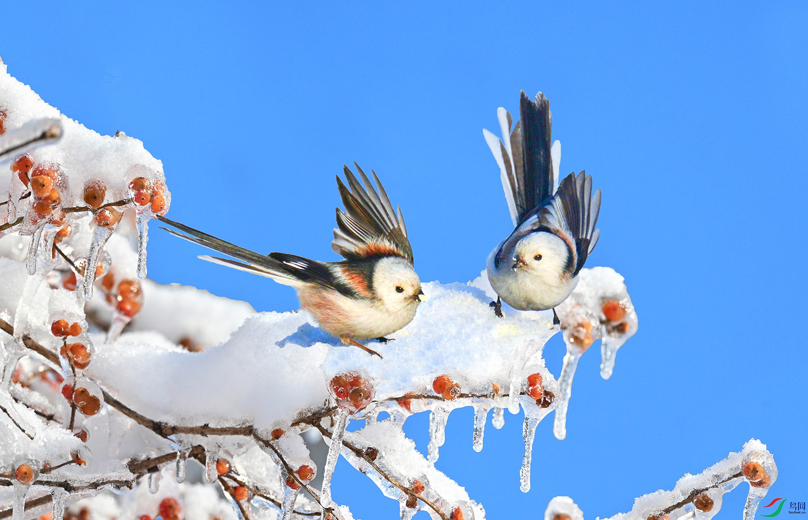 6.������ӭɽȸ8214AM.jpg