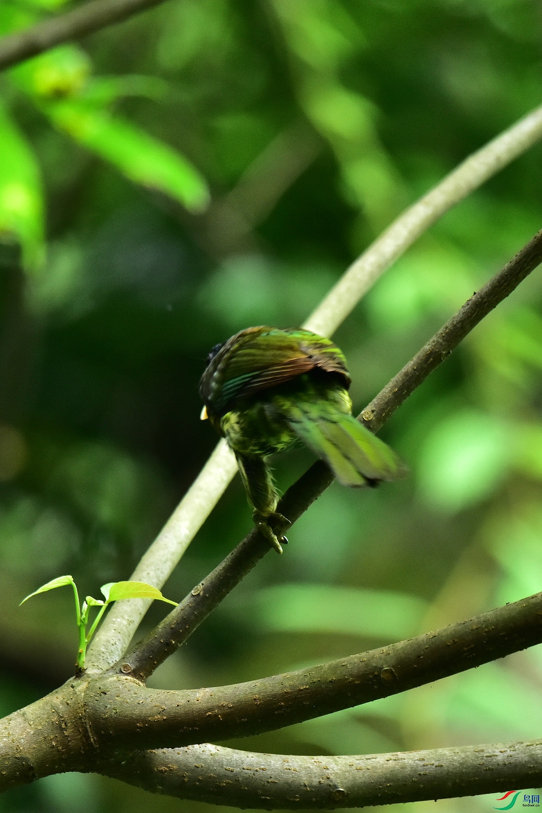 DSC_0873.JPG