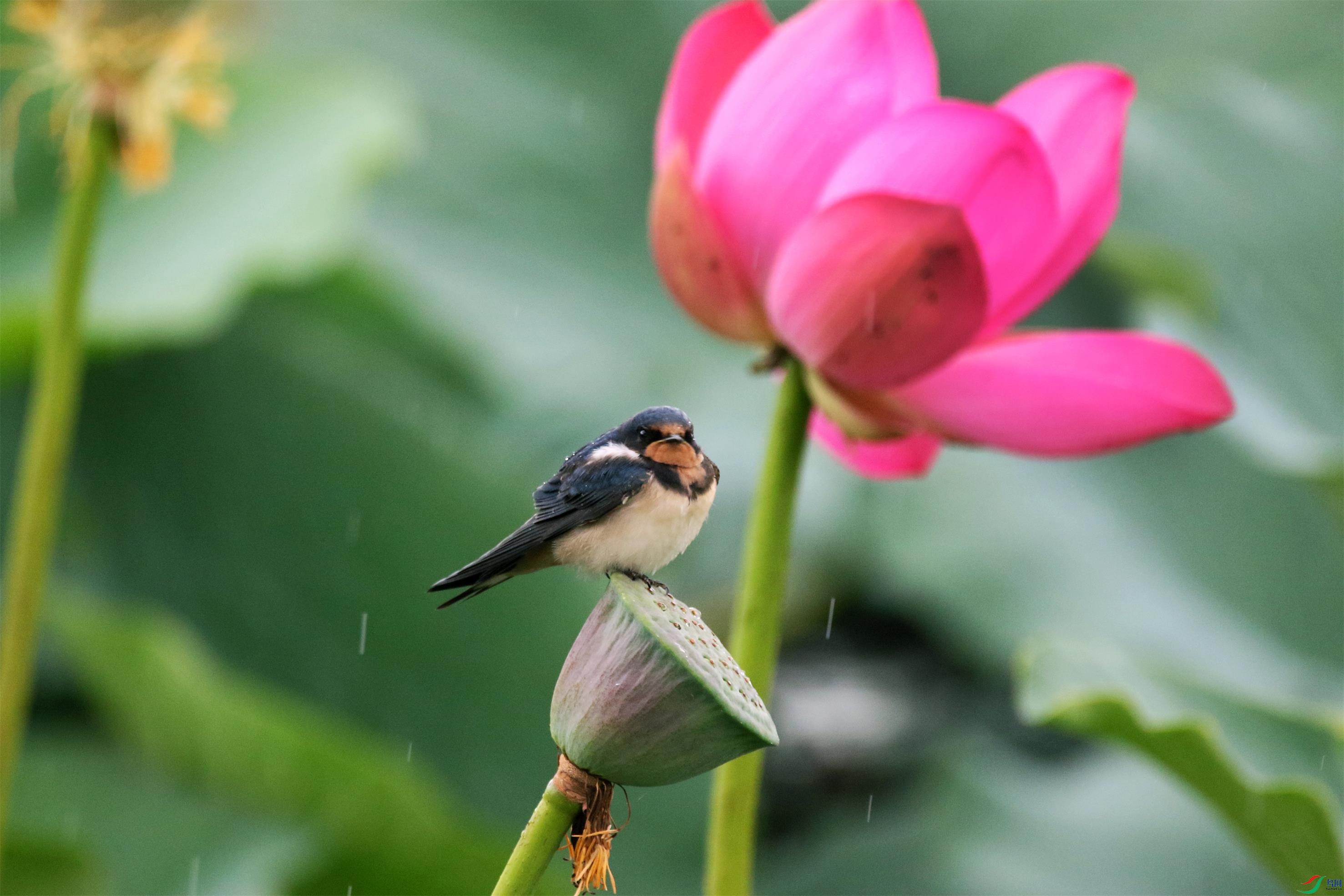 7U9A6886 ��������.jpg