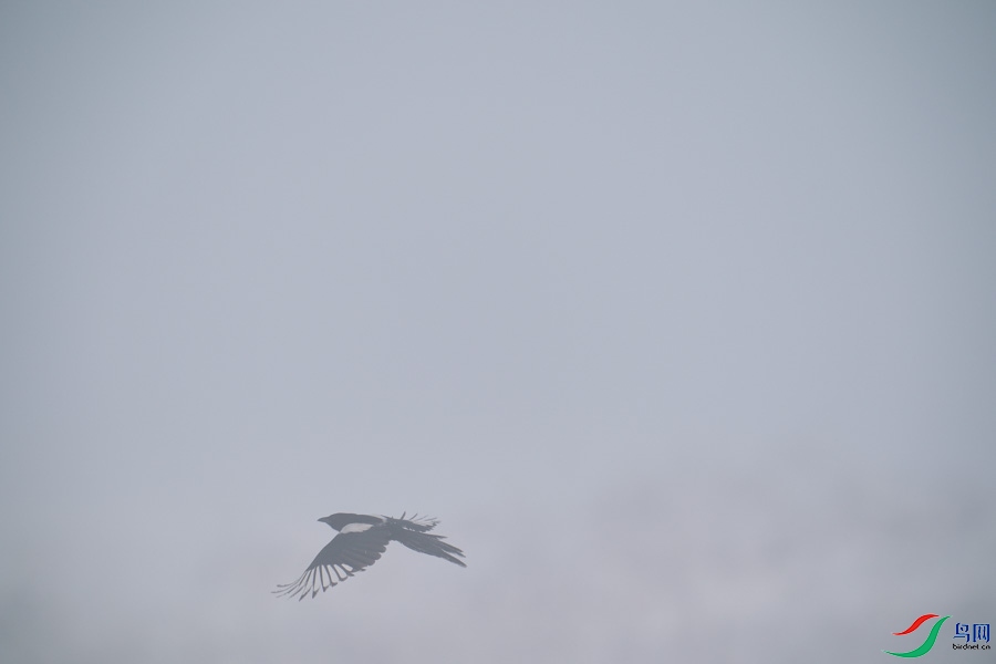 DSC00723.jpg