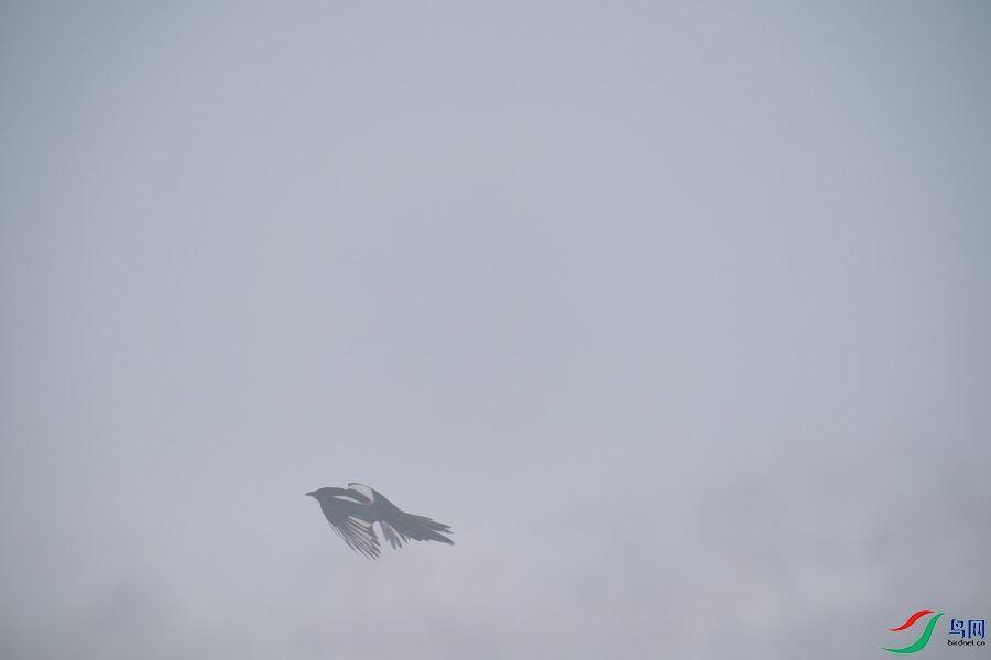 DSC00724.jpg