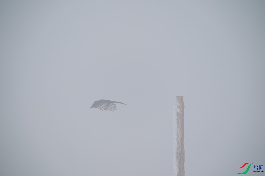 DSC00690.jpg