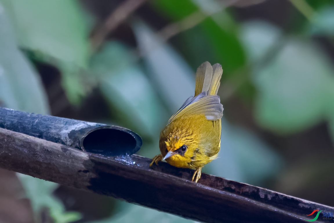DSC_7656_DxOa.jpg