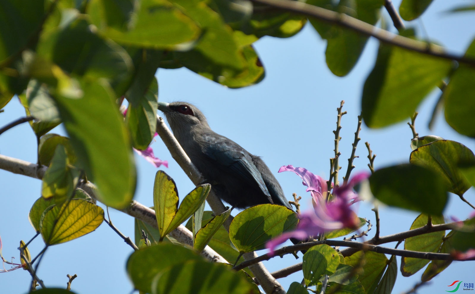 DSC_64781.jpg