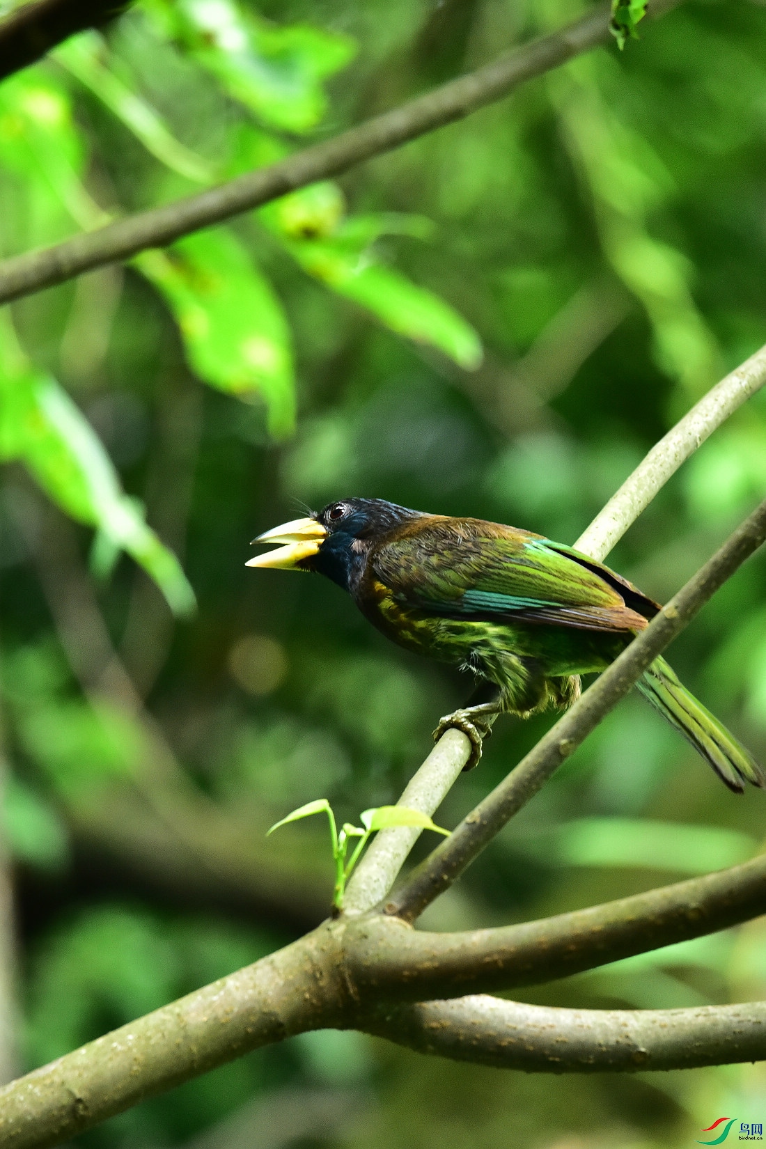 DSC_0875.JPG