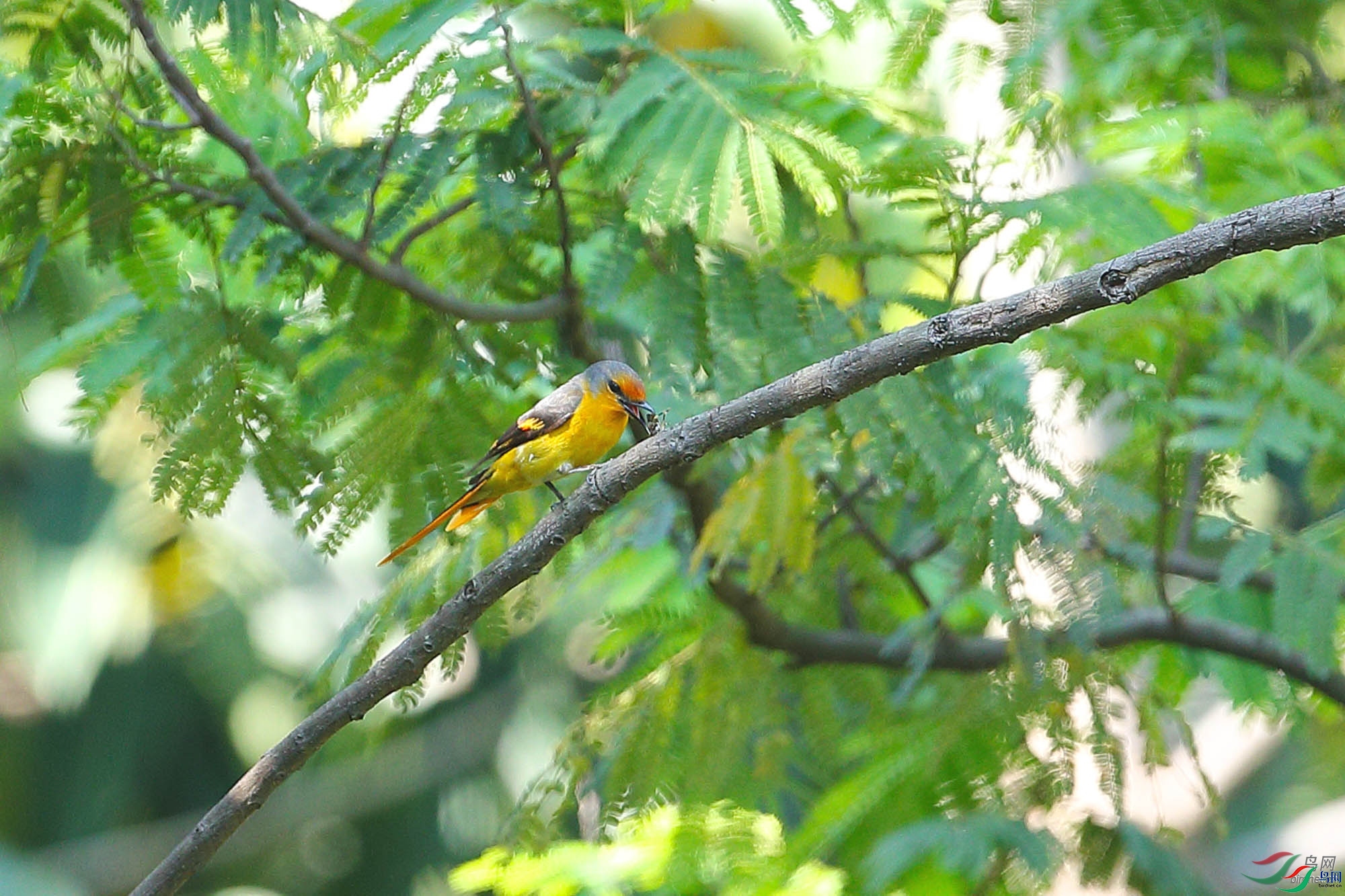 ��չ����  ��ʦ�����ڹ㶫ʡ������.jpg