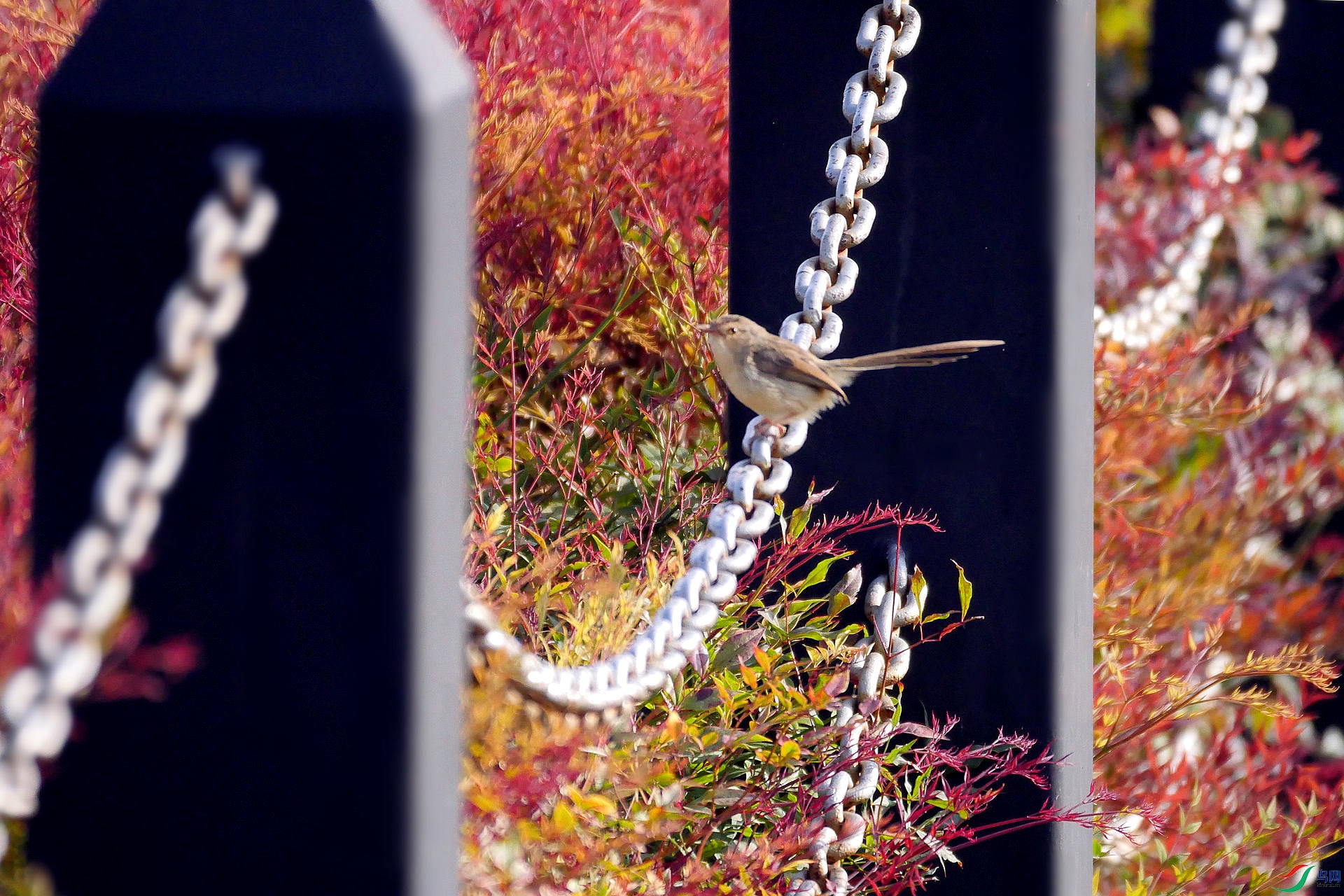 2021007.һֻ��ݺ�۾���