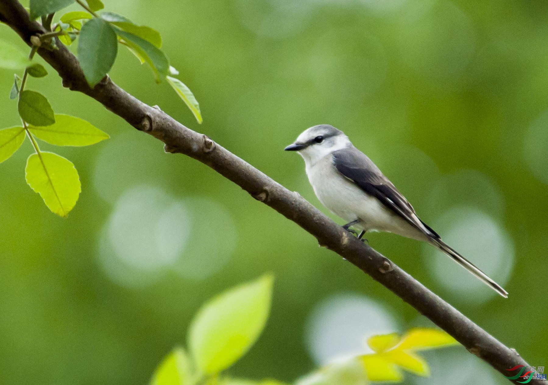 ֱ���� ��ʦ�����ں���ʡ������.jpg