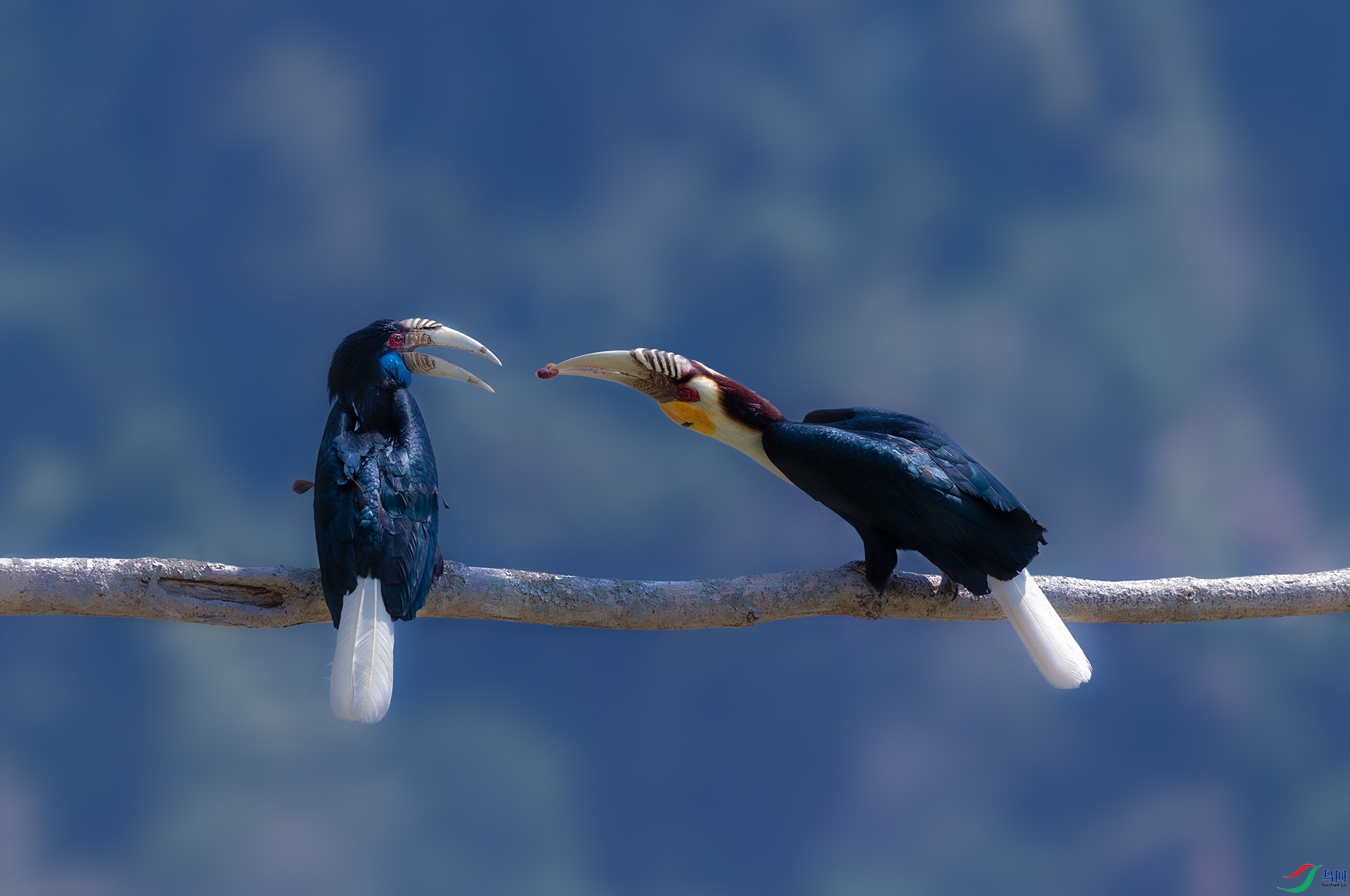 DSC_7373.jpg