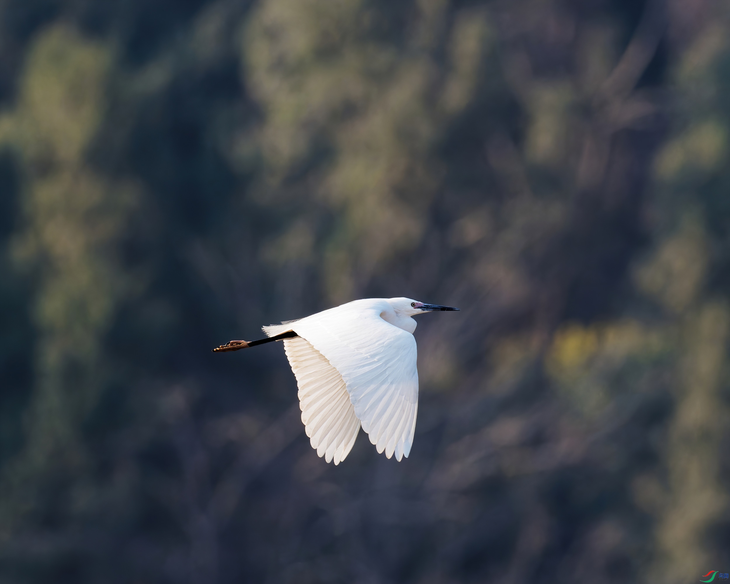 P2200018_DxO-d2.jpg