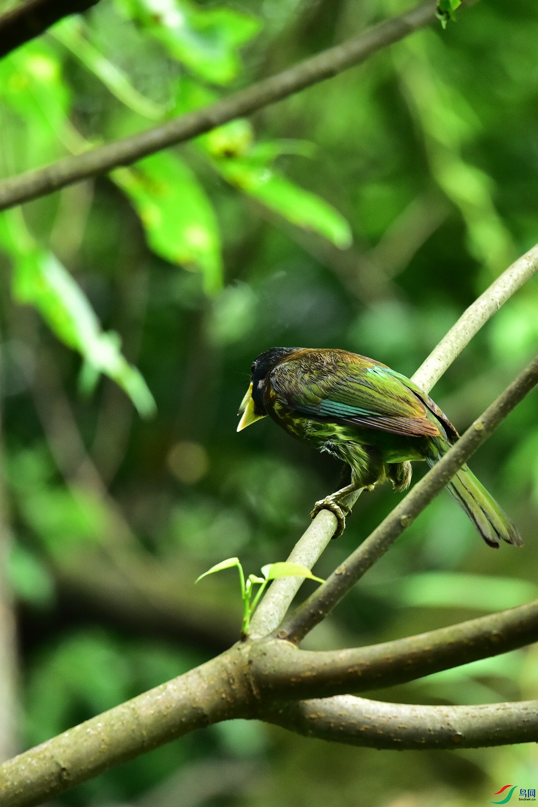 DSC_0879.JPG