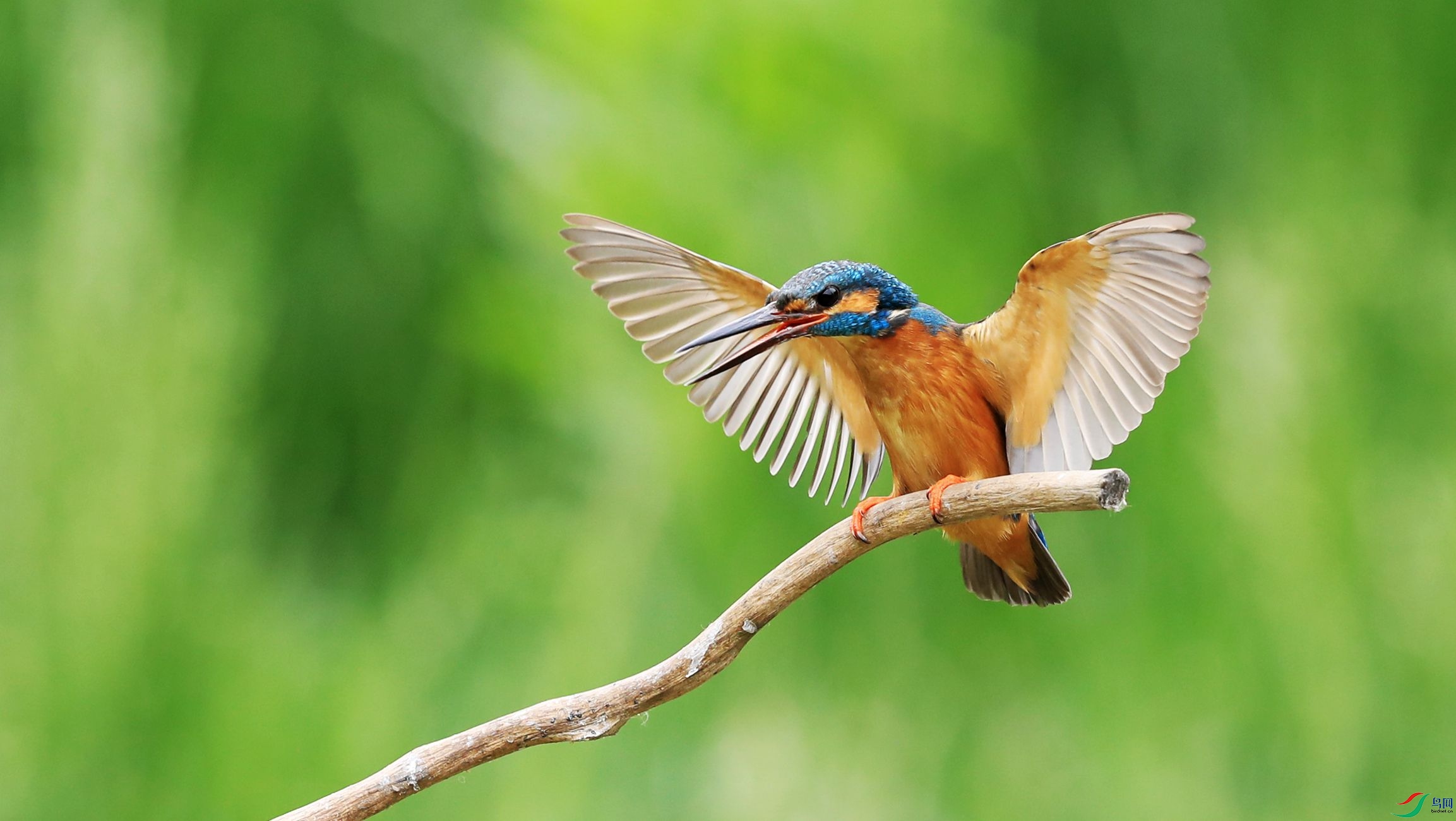 504.jpg