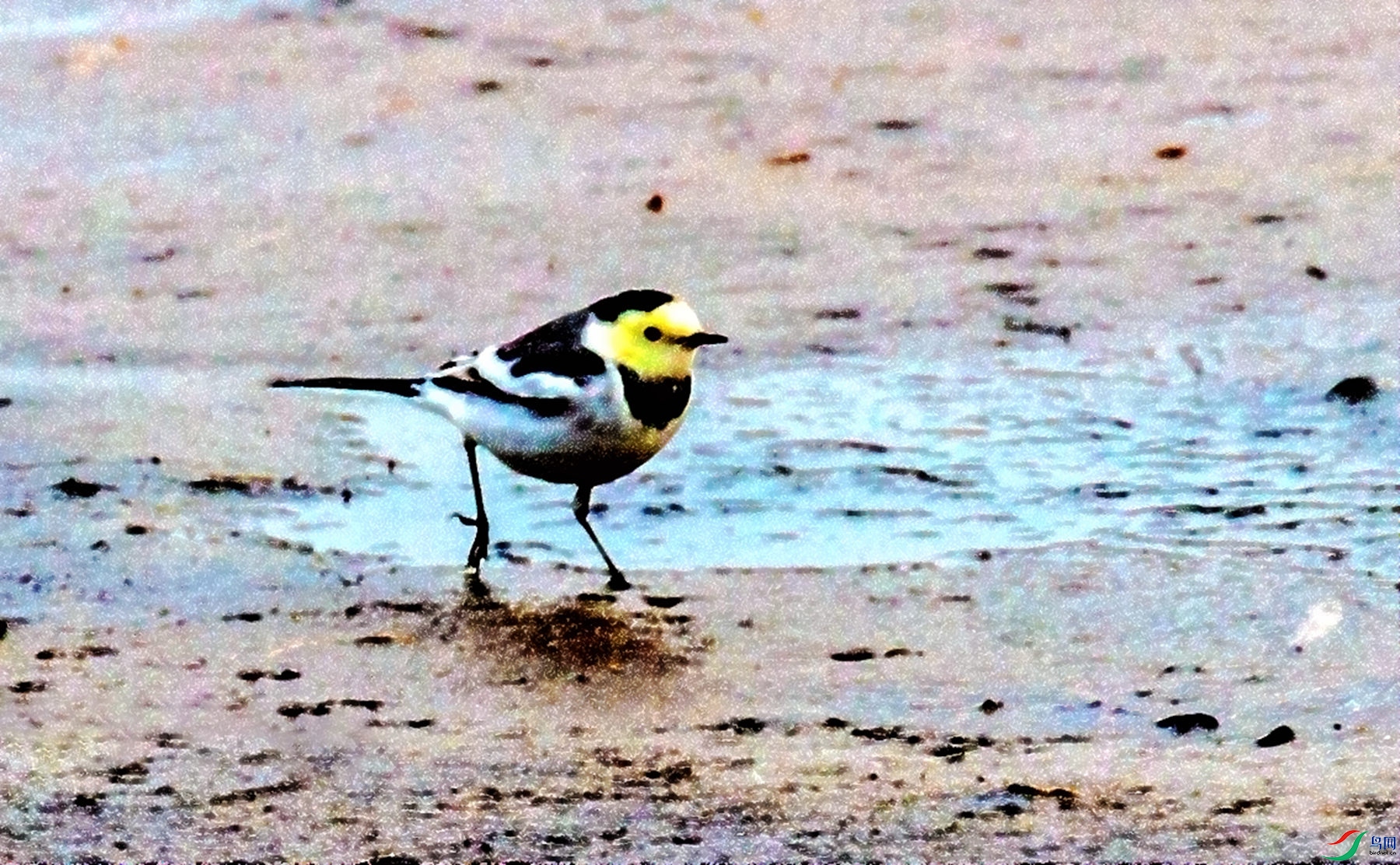 ���n�_ �������֣�.jpg