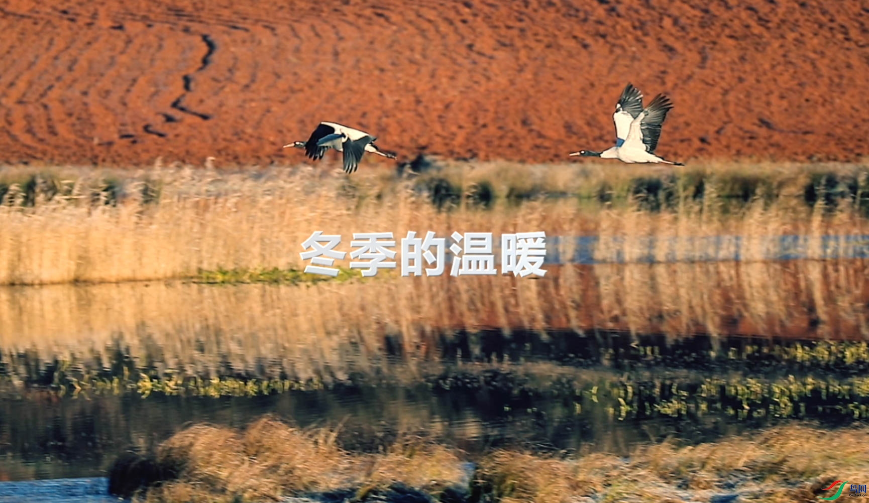 ����2021-02-21 ����8.01.07.jpg