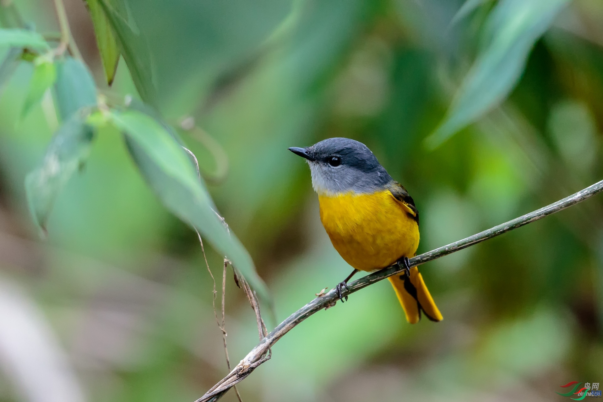 ��ݸ�Ϸ�  ��ʦ����.jpg