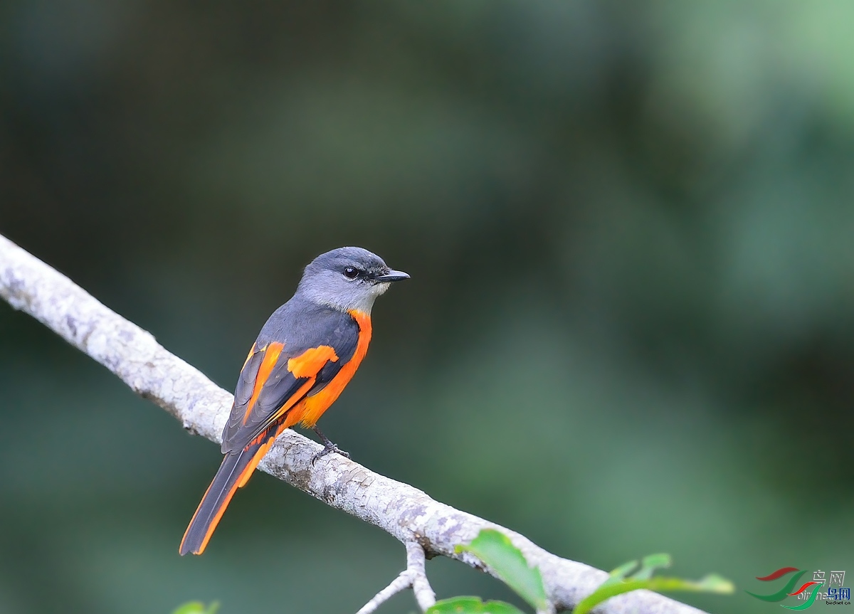 ֪������  ��ʦ�����ں��ϼ����.jpg