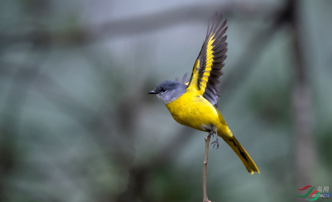 �Y���~  ��ʦ�����ں���ʡ�����гǲ�����������.jpg