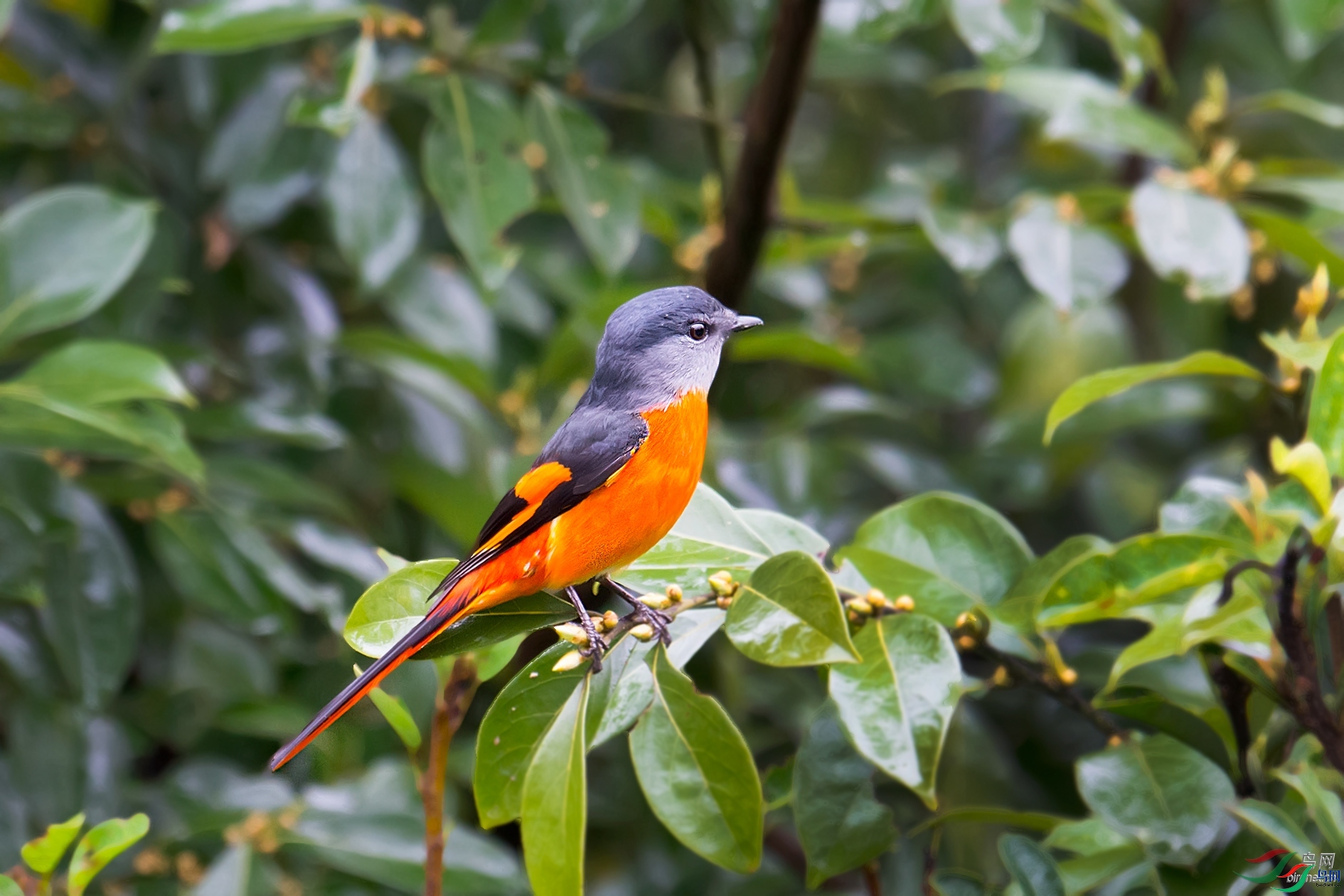 �ﺮ  ��ʦ�����ڸ���ʡ��������Ϫ��.jpg