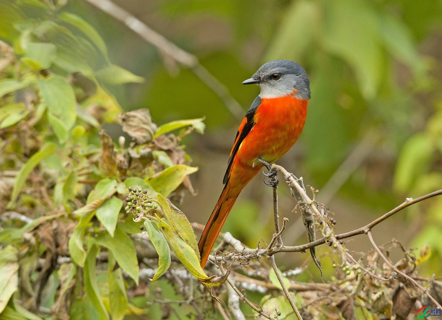 �����Ĵ��� ��ʦ�����ڸ���ʡ�����г�͡��0.jpg