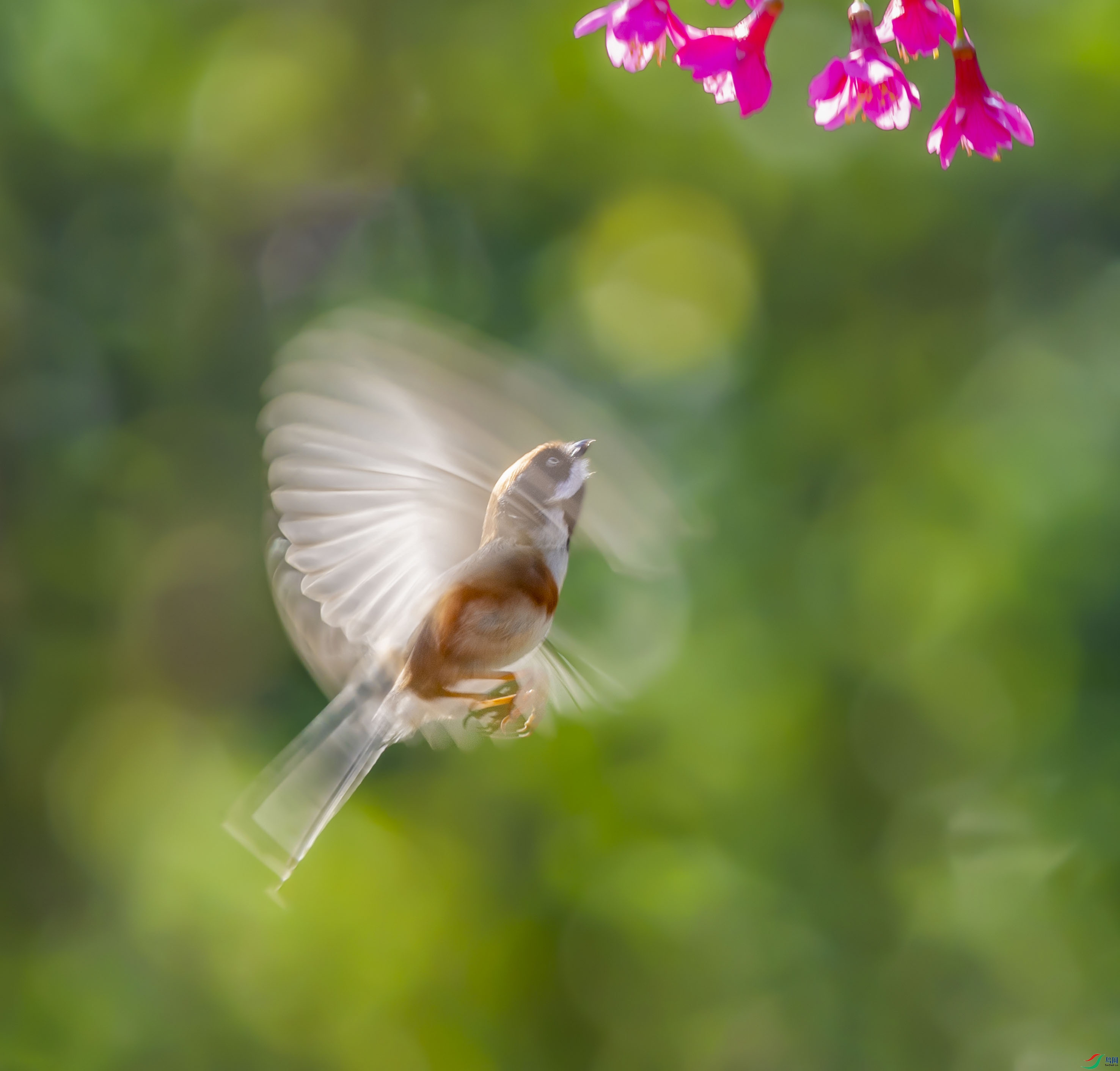 DSC_1327add2.jpg