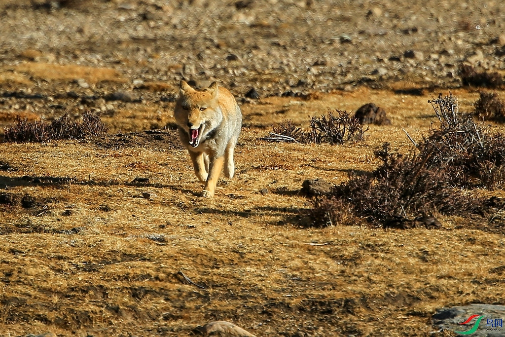 AB1I2682 - ���� (3).JPG