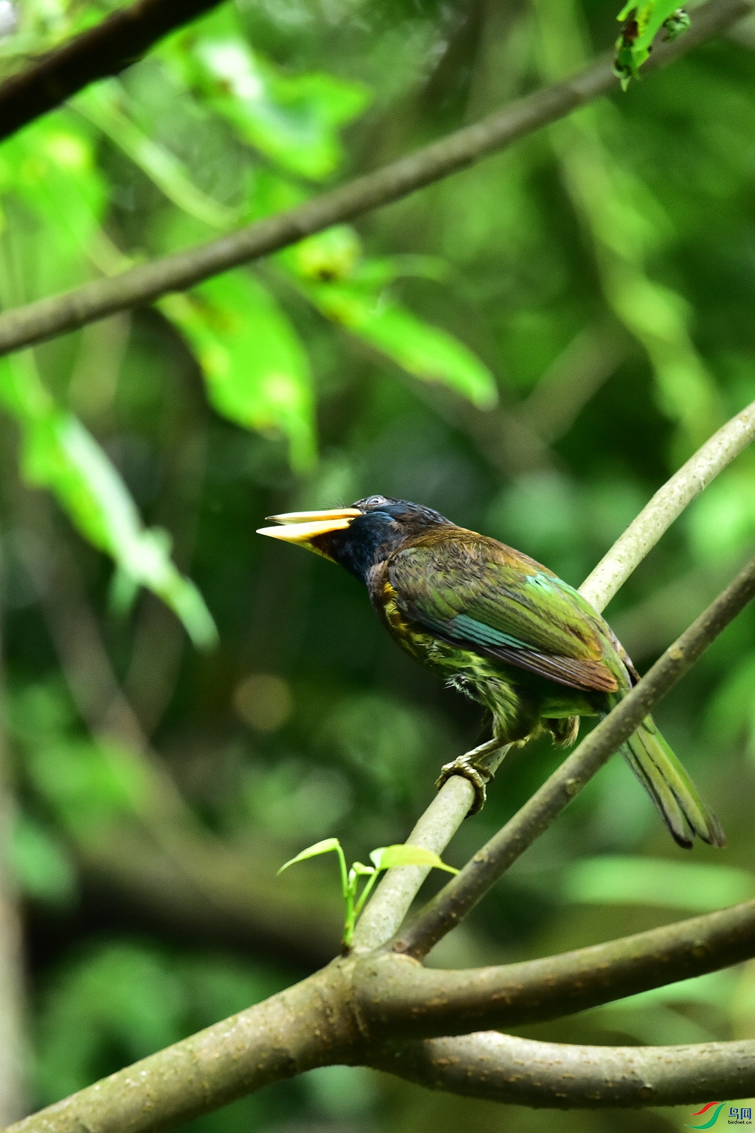 DSC_0885.JPG